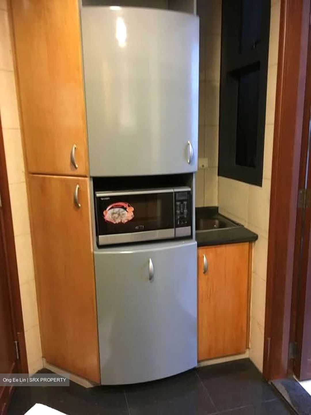 River Place (D3), Condominium #552054311